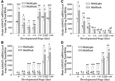 Evolutionary Genomics Reveals Multiple Functions of Arylalkylamine N-Acetyltransferase in Fish